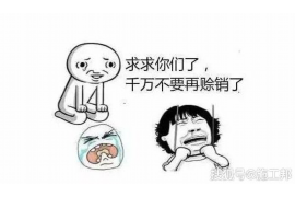 乐平债务清欠服务